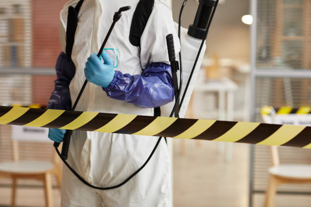 Professional Sewage Cleanup technician working in Meriden, WY